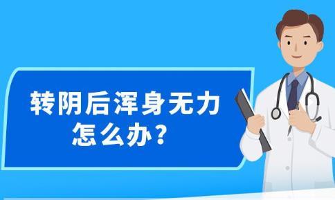 新澳精准资料期期精准,新澳精准资料期期精准，探索现代预测科学的魅力与实效