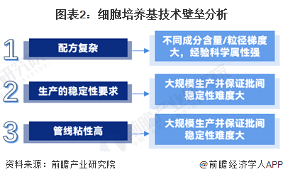 2024年新跑狗图最新版,探索新跑狗图最新版，预测与策略分析（2024年展望）