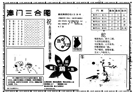 777788888管家婆中特,探索神秘的数字组合，深入理解管家婆中特与777788888的魅力