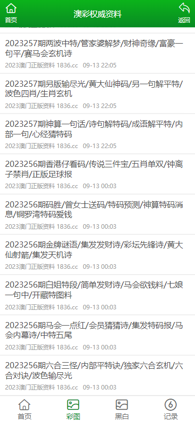 新澳门资料大全正版资料2023,澳门新资料正版资料的重要性及其影响，探讨犯罪预防与法治建设的重要性（2023年）