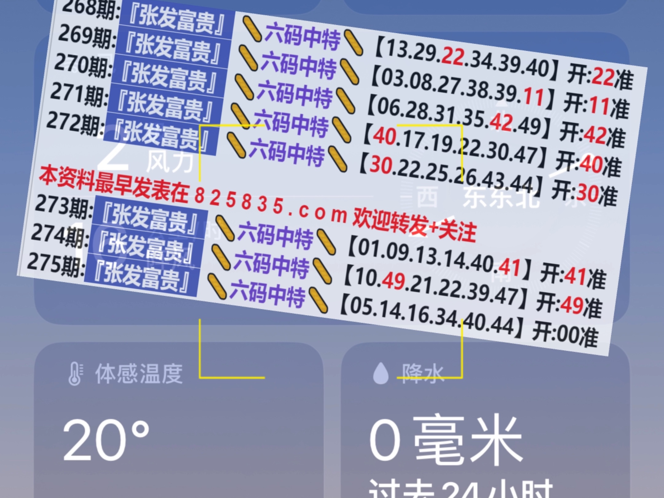 2024新奥门天天开好彩大全85期,新奥门天天开好彩大全 85期精彩回顾与前瞻