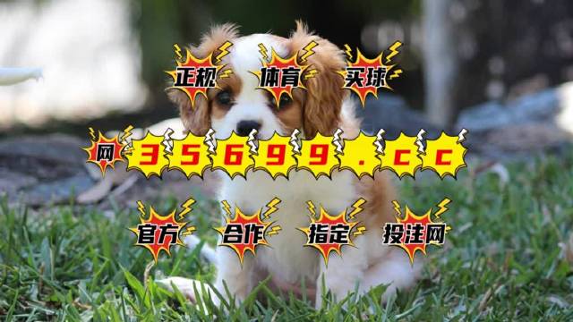 2024澳门特马今晚开奖53期,澳门特马今晚开奖53期，期待与惊喜的交汇点