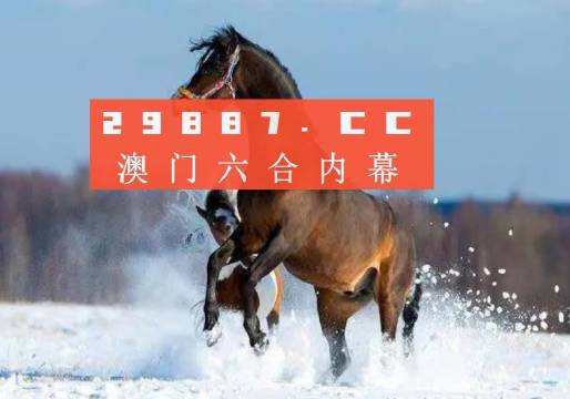 2023澳门正版全年免费资料,澳门正版全年免费资料，探索2023年的奥秘与机遇