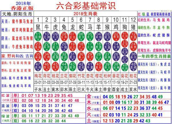 2024澳门正版资料大全资料生肖卡030期 07-15-30-31-33-36C：46,探索澳门正版资料大全——生肖卡030期与神秘数字组合