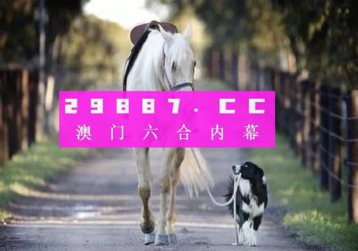 新澳门资料精准网站075期 13-45-05-18-26-34T：16,新澳门资料精准网站，探索数字世界的秘密（第075期分析）