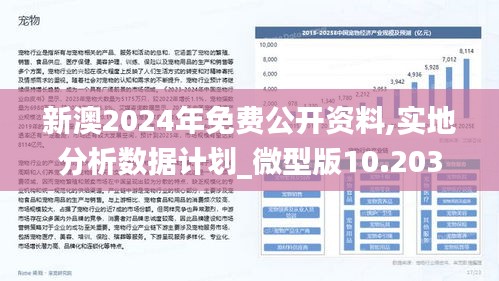 新澳资料018期 04-11-12-20-38-42D：05,新澳资料018期，深度解析与前瞻性思考